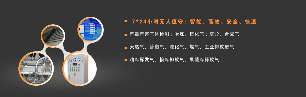 燃气分析仪在线检测应用领域