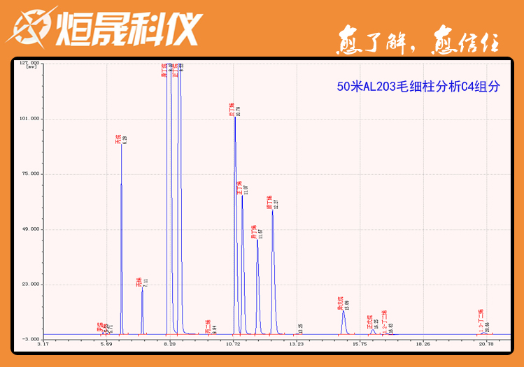 裂解碳四的组成测定 气相色谱法