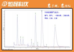 煤气全组分GC检测