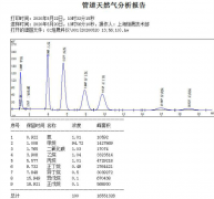 管道天然气储备站气相色谱仪厂家制定方案